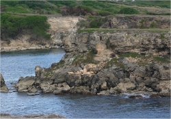 The cliffs, a ten minute walk from the Centre,