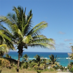 Skeetes Bay