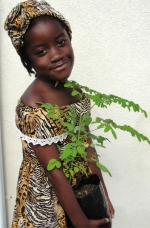 Moringa 